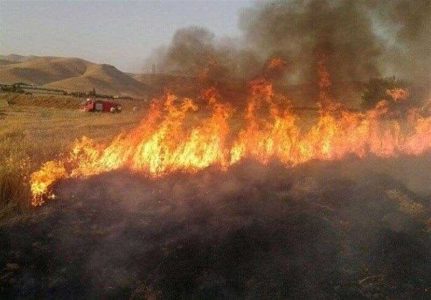 ته سیگار ۴ هکتار از مراتع سمیرم را سوزاند - خبرگزاری هیاهو | اخبار ایران و جهان