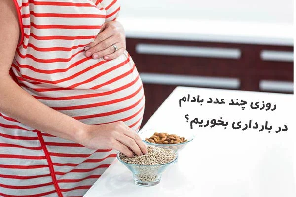 روزی چند عدد بادام هندی در بارداری بخوریم؟