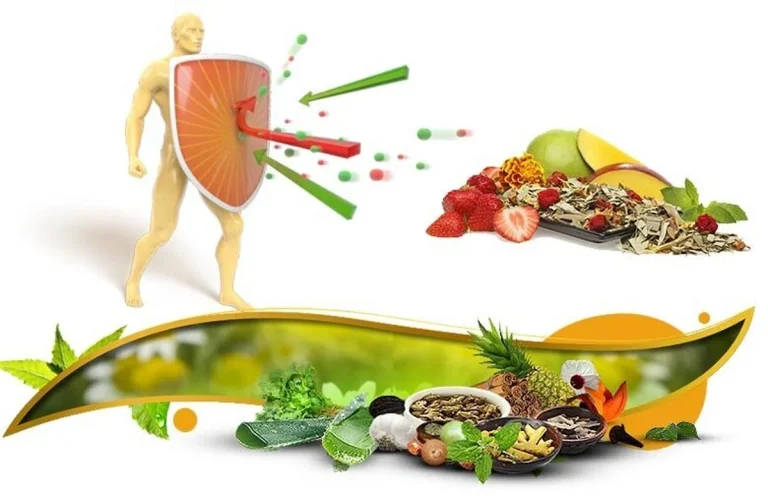 آشنایی با لیست بهترین غذاها برای تقویت سیستم ایمنی بدن
