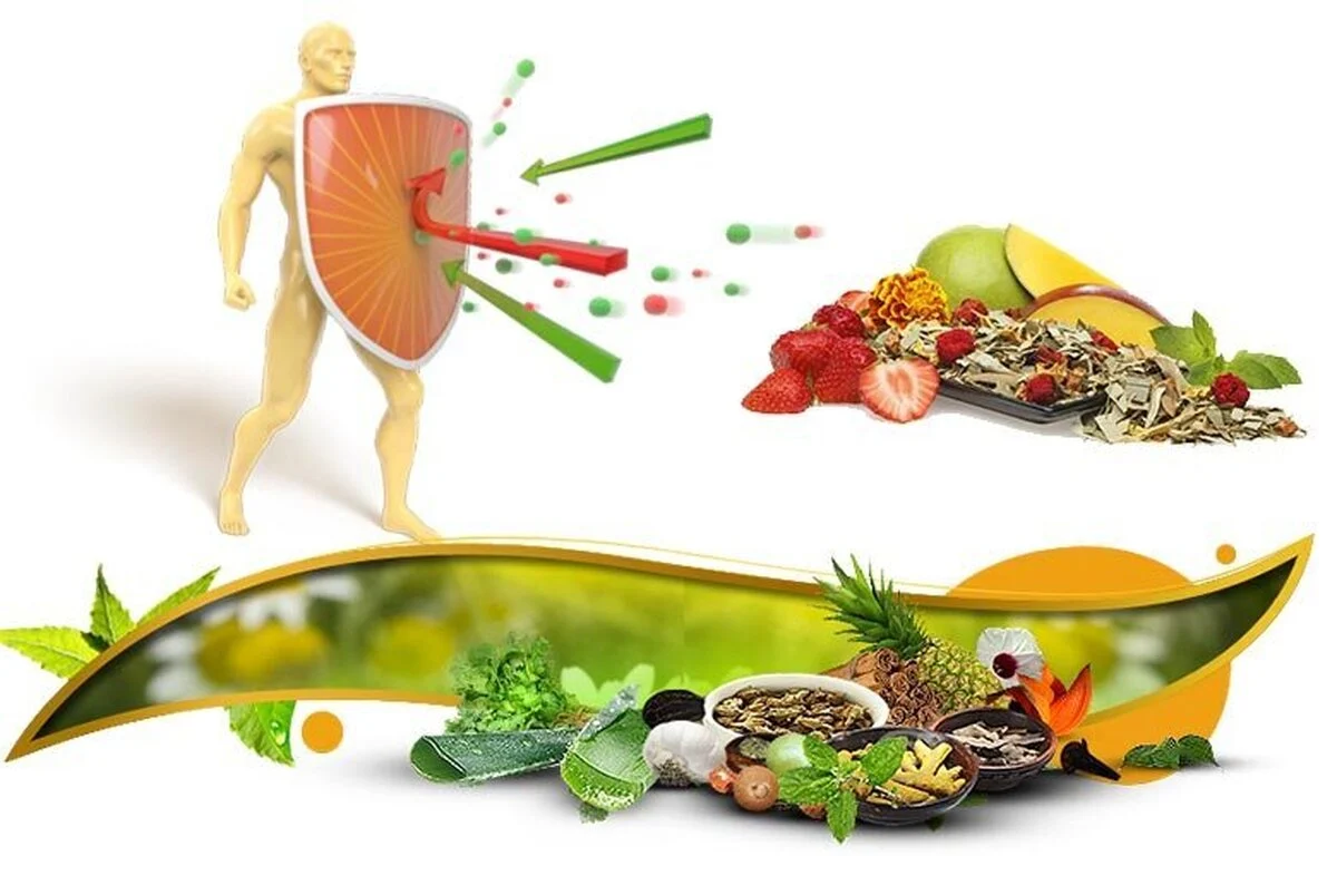 آشنایی با لیست بهترین غذاها برای تقویت سیستم ایمنی بدن