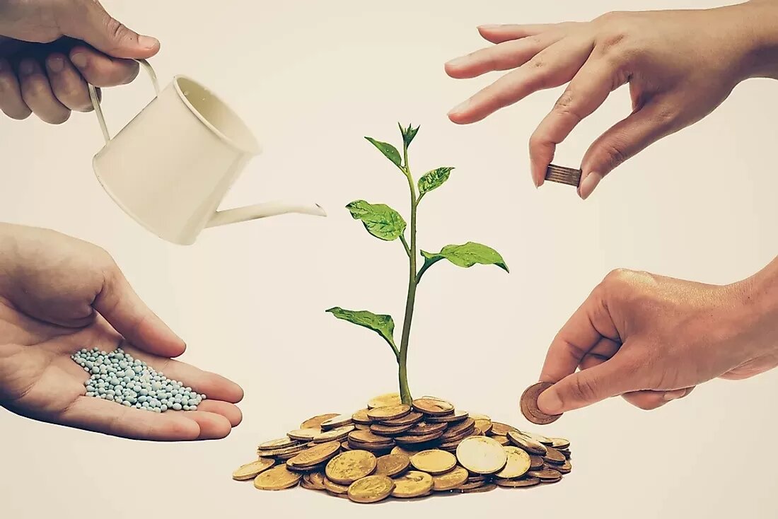 گلستان تعاونی های روستایی گلستان؛ ۶۸ شرکت با ۸۶ هزار عضو در مسیر توسعه خدمات - خبرگزاری هیاهو | اخبار ایران و جهان