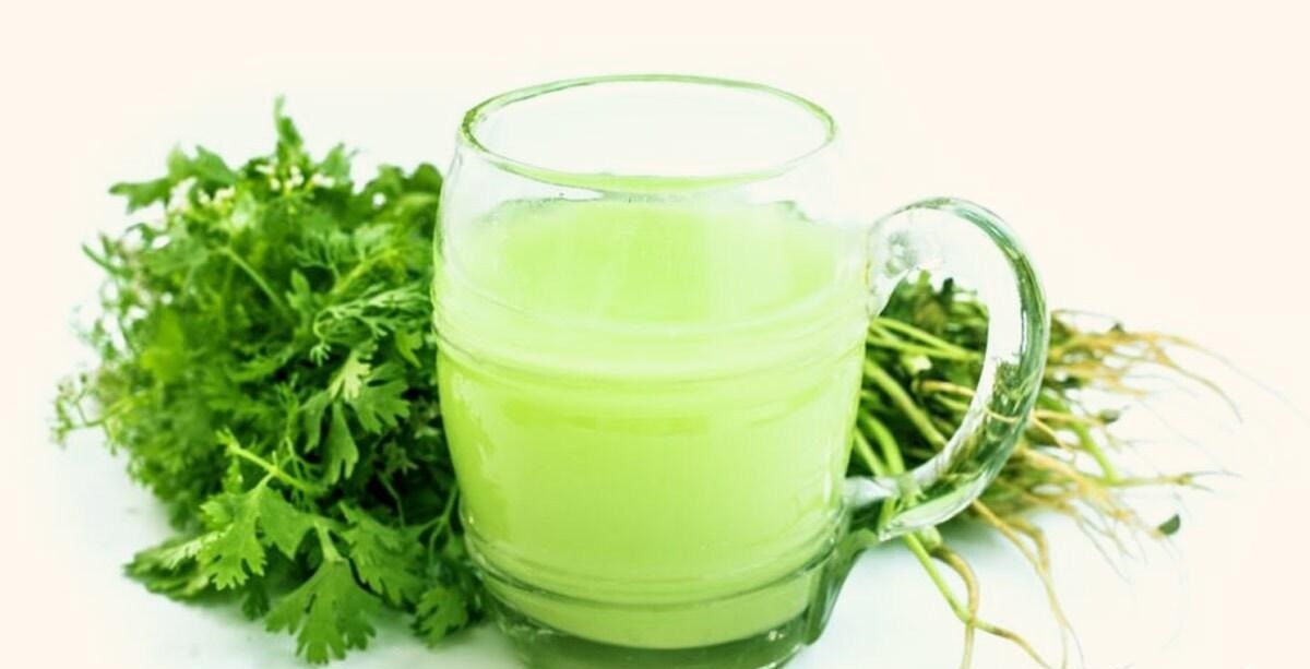 چگونه آب گشنیز به رشد مو و بهبود کیفیت آن کمک می کند
