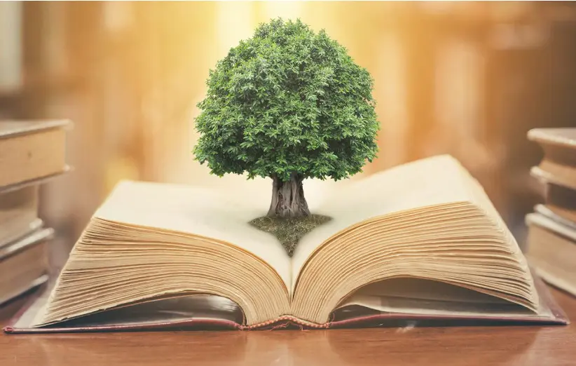 معرفی مجموعه‌های داستانی چند جلدی پرطرفدار جهان